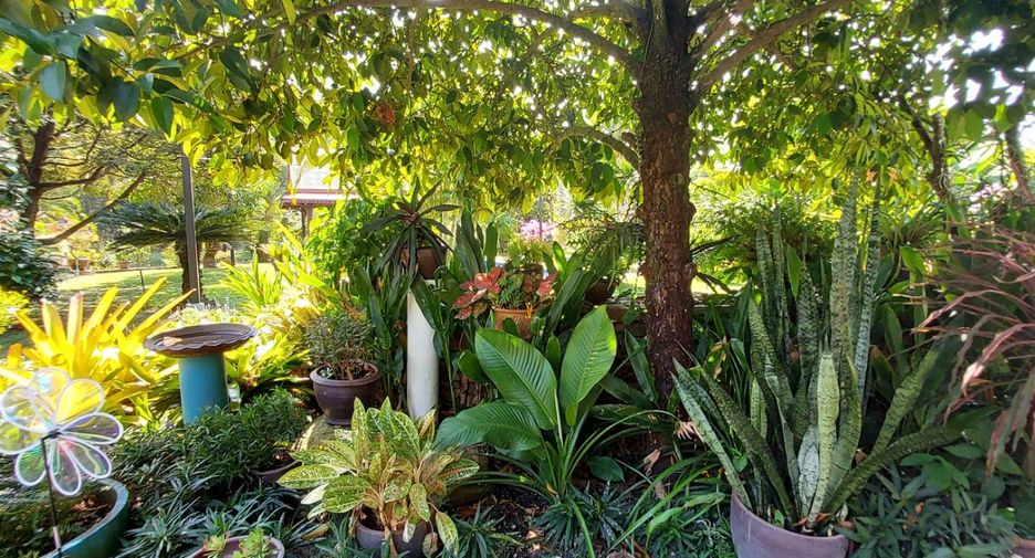 For sale 5 ベッドルーム hotel in Mueang Rayong, Rayong