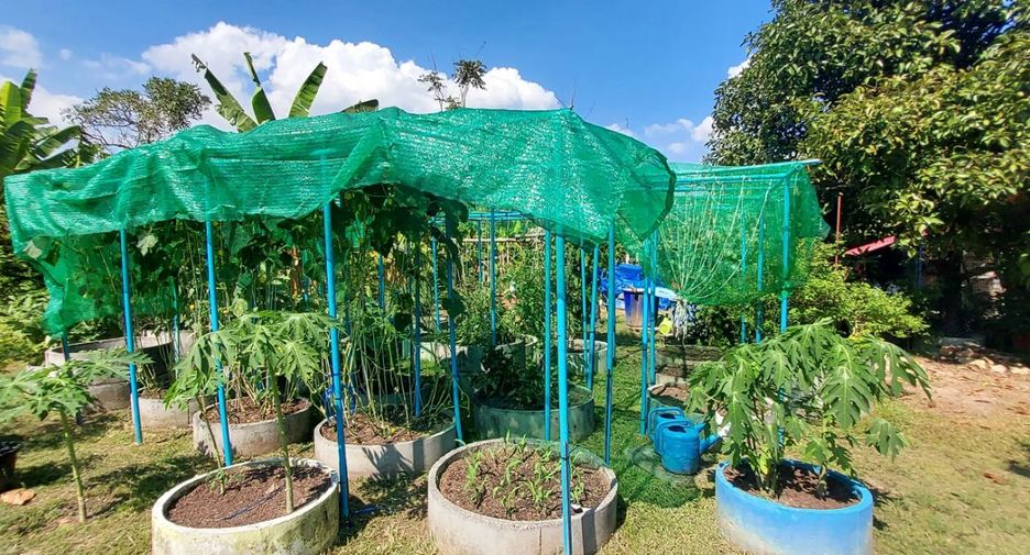 For sale 5 ベッドルーム hotel in Mueang Rayong, Rayong