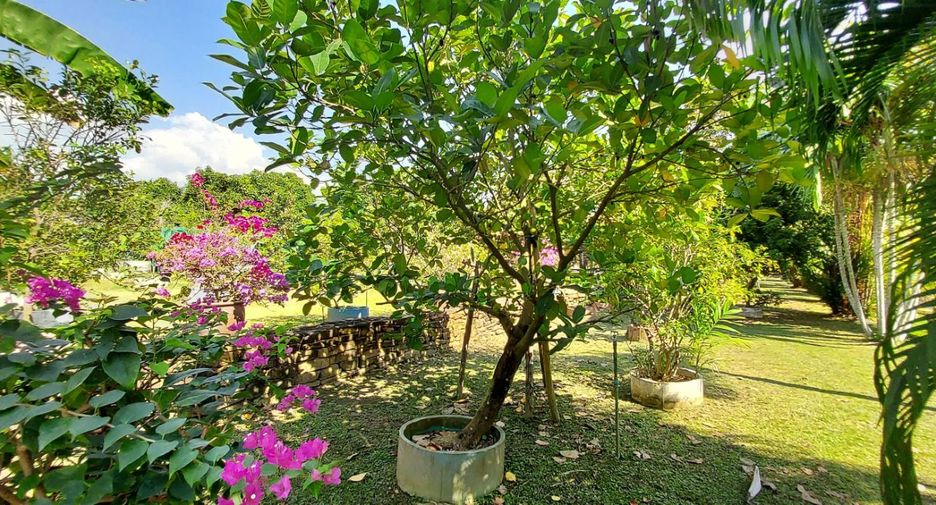 For sale 5 ベッドルーム hotel in Mueang Rayong, Rayong
