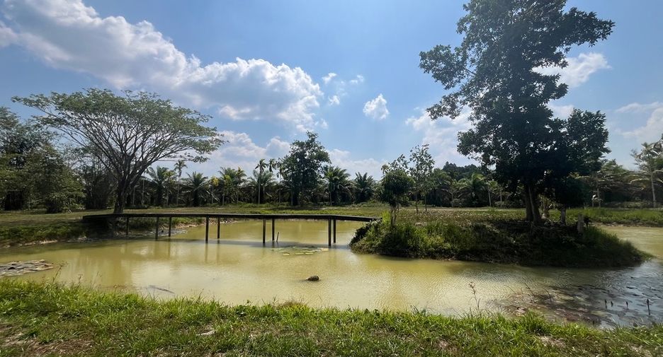 Grundstück zum Kauf in Thai Mueang, Phang Nga