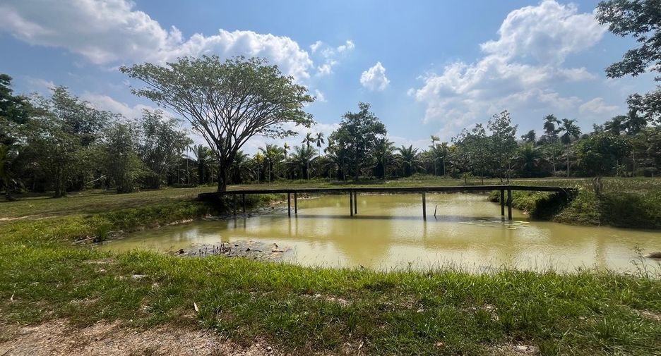 Grundstück zum Kauf in Thai Mueang, Phang Nga
