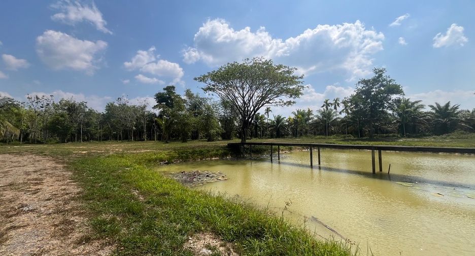 Grundstück zum Kauf in Thai Mueang, Phang Nga