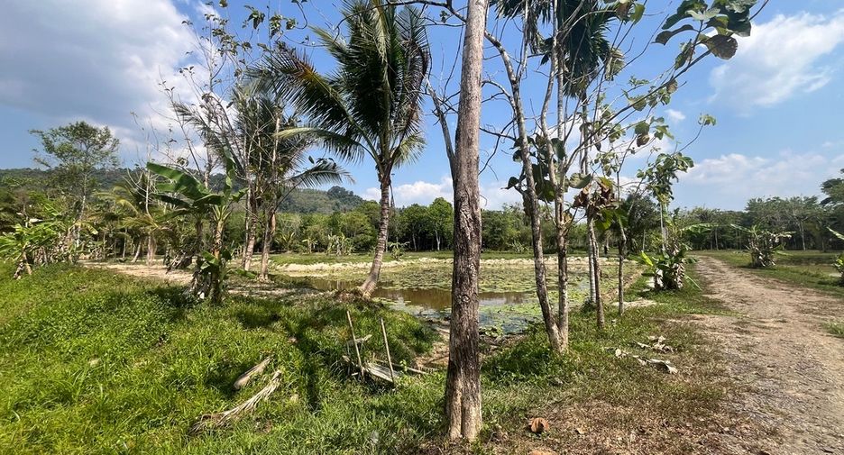 Grundstück zum Kauf in Thai Mueang, Phang Nga