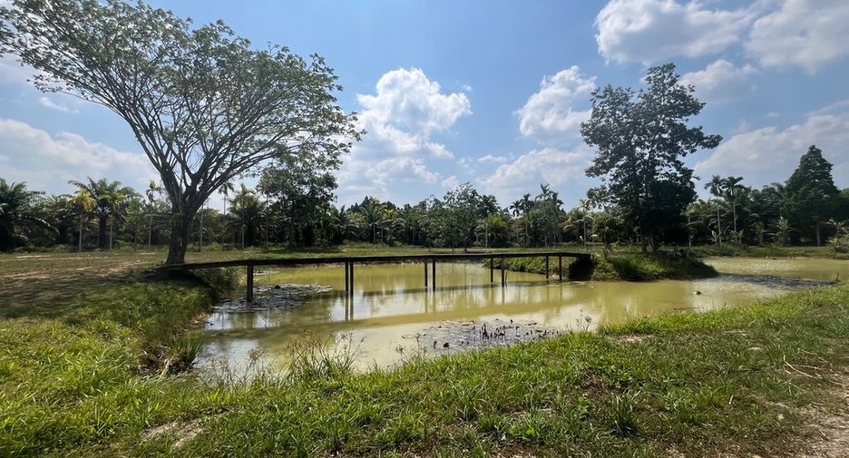 Grundstück zum Kauf in Thai Mueang, Phang Nga