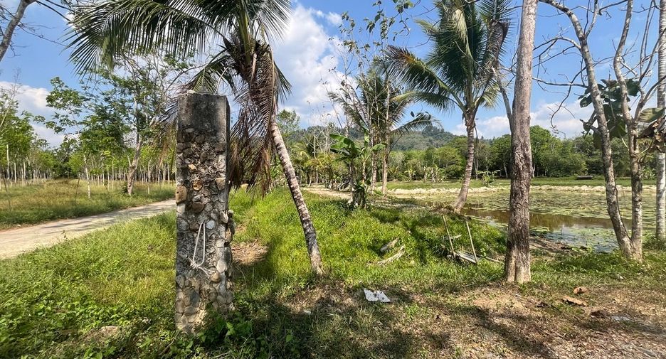 Grundstück zum Kauf in Thai Mueang, Phang Nga