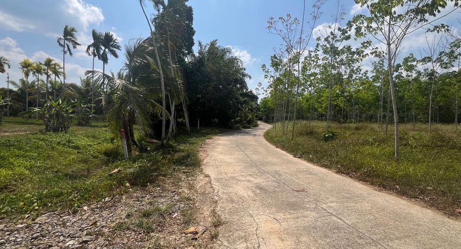 Grundstück zum Kauf in Thai Mueang, Phang Nga