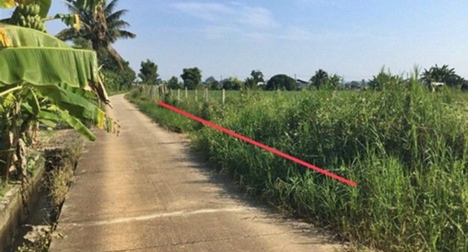 For sale land in Samoeng, Chiang Mai