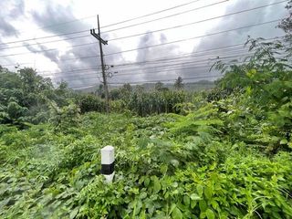 ขาย ที่ดิน ใน เมืองเชียงราย, เชียงราย