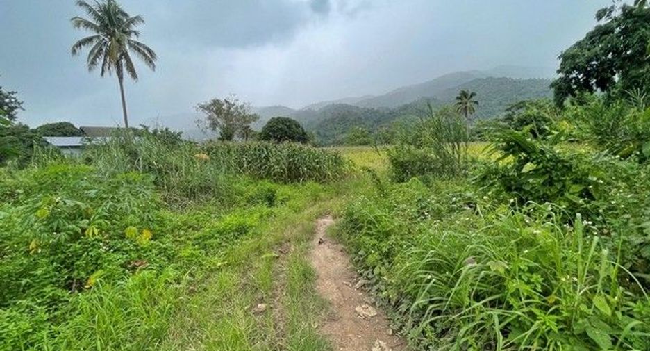 For sale land in Mueang Chiang Rai, Chiang Rai