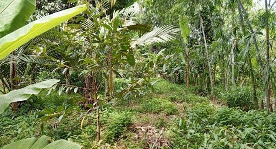 Terreno en venta en Than To, Yala