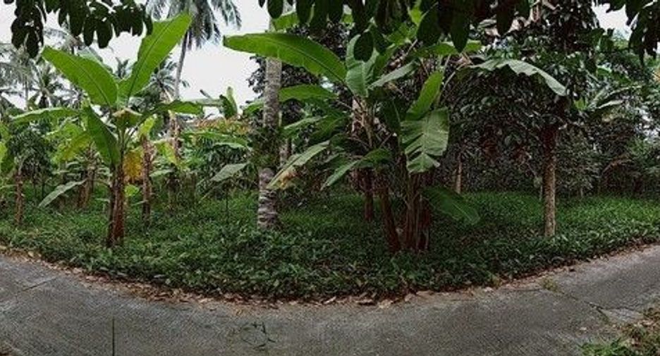 Terreno en venta en Than To, Yala
