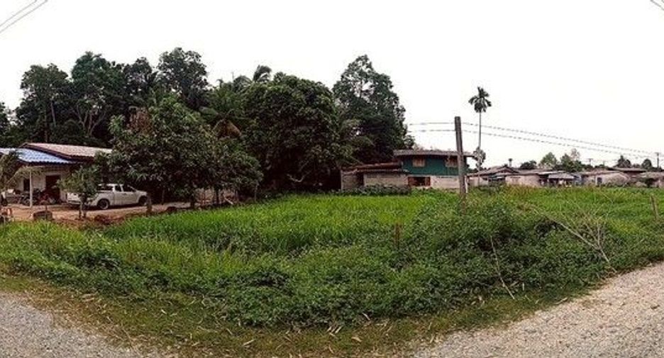 ขาย ที่ดิน ใน มายอ, ปัตตานี