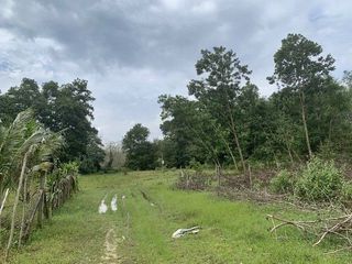 Продажа Участок в Хатъяй, Songkhla