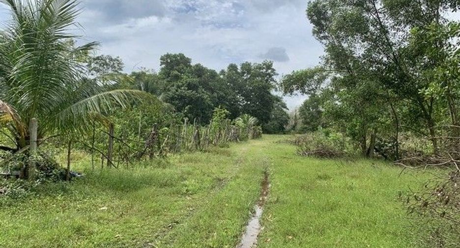 Продажа Участок в Хатъяй, Songkhla