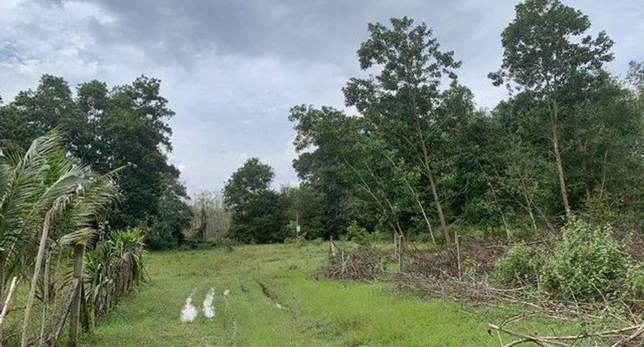 Продажа Участок в Хатъяй, Songkhla