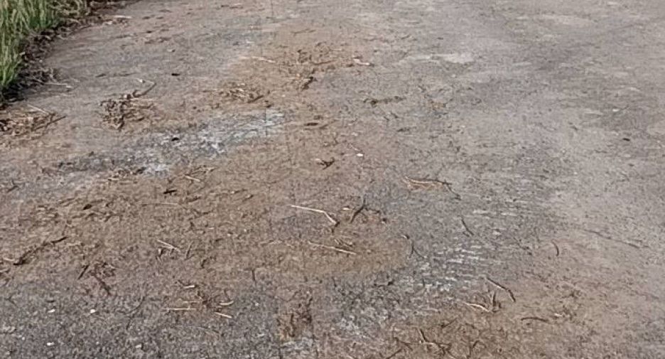 For sale land in Mueang Phichit, Phichit