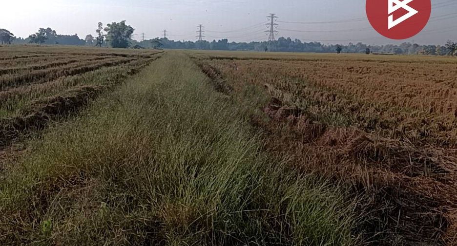 For sale land in Mueang Phichit, Phichit