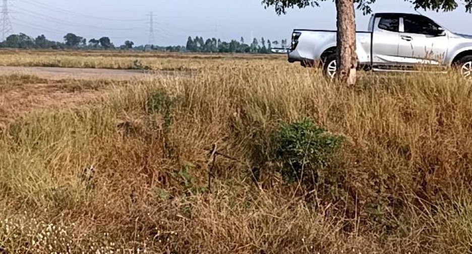 For sale land in Mueang Phichit, Phichit