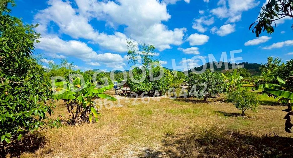 For sale land in Chiang Khan, Loei