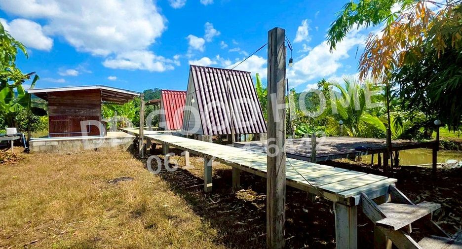 For sale land in Chiang Khan, Loei