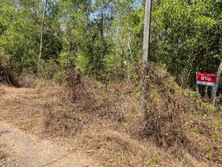 For sale land in Nong Suea, Pathum Thani