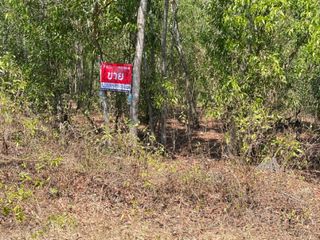 For sale land in Nong Suea, Pathum Thani