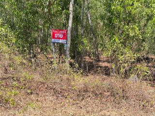 For sale land in Nong Suea, Pathum Thani