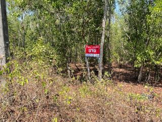 For sale land in Nong Suea, Pathum Thani
