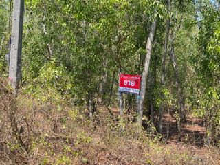 For sale land in Nong Suea, Pathum Thani