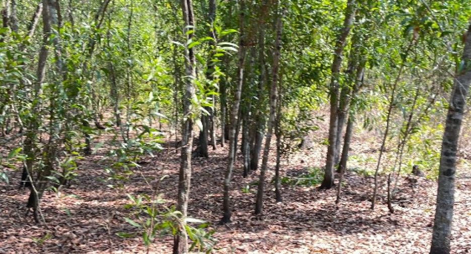 For sale land in Nong Suea, Pathum Thani
