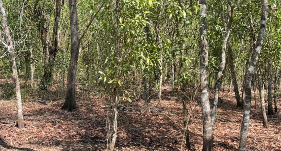 For sale land in Nong Suea, Pathum Thani