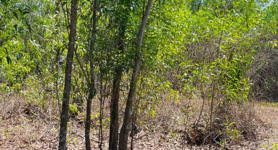 For sale land in Nong Suea, Pathum Thani