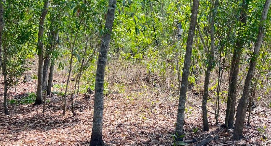 For sale land in Nong Suea, Pathum Thani