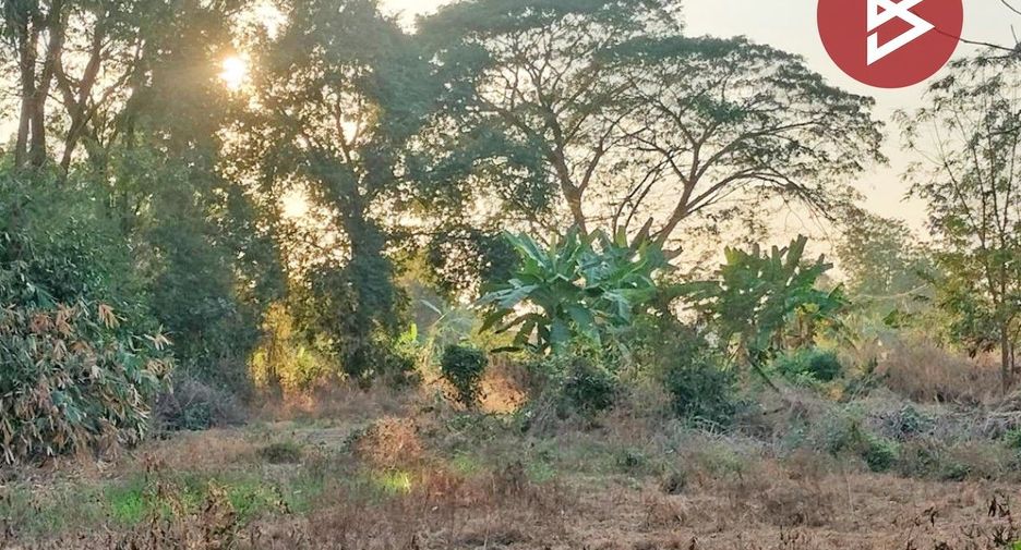 For sale land in Wang Thong, Phitsanulok