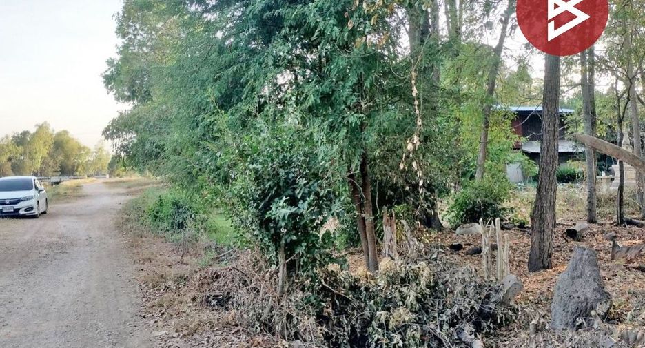 For sale land in Wang Thong, Phitsanulok