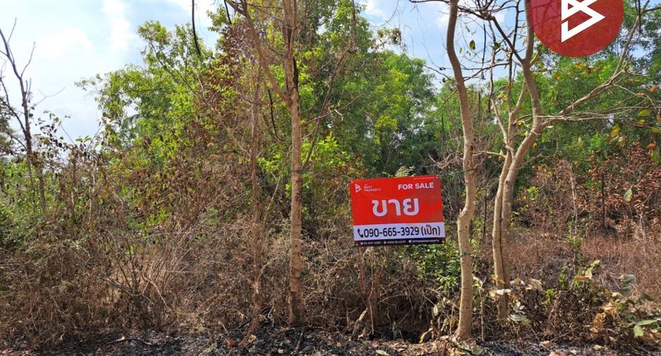 For sale land in Bang Nam Priao, Chachoengsao