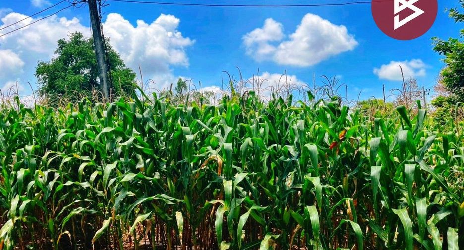 For sale land in Manorom, Chainat