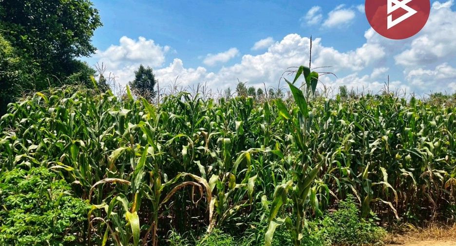 For sale land in Manorom, Chainat