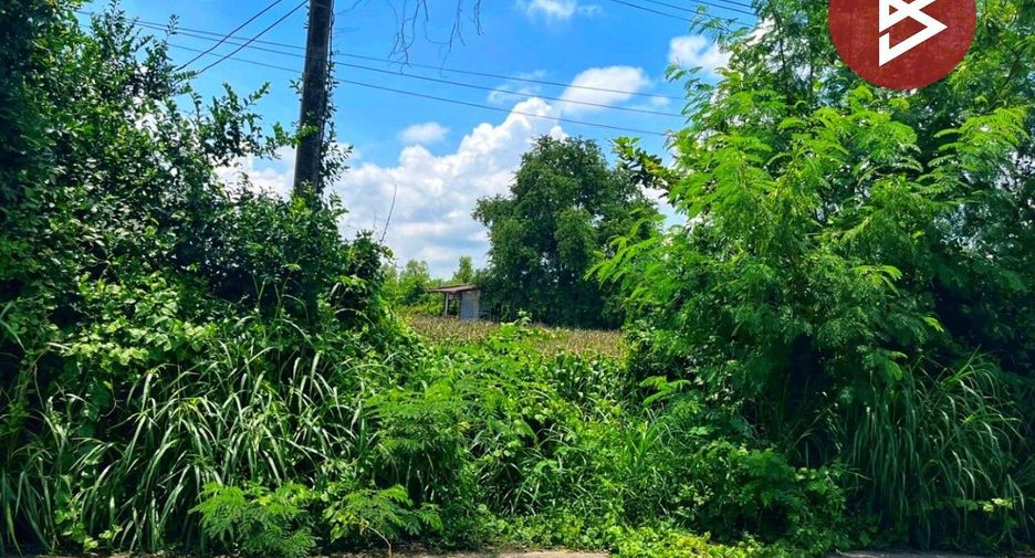 For sale land in Manorom, Chainat