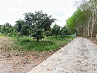 À vendre 1 chambre maison à Klaeng, Rayong