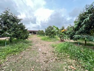 À vendre 1 chambre maison à Klaeng, Rayong