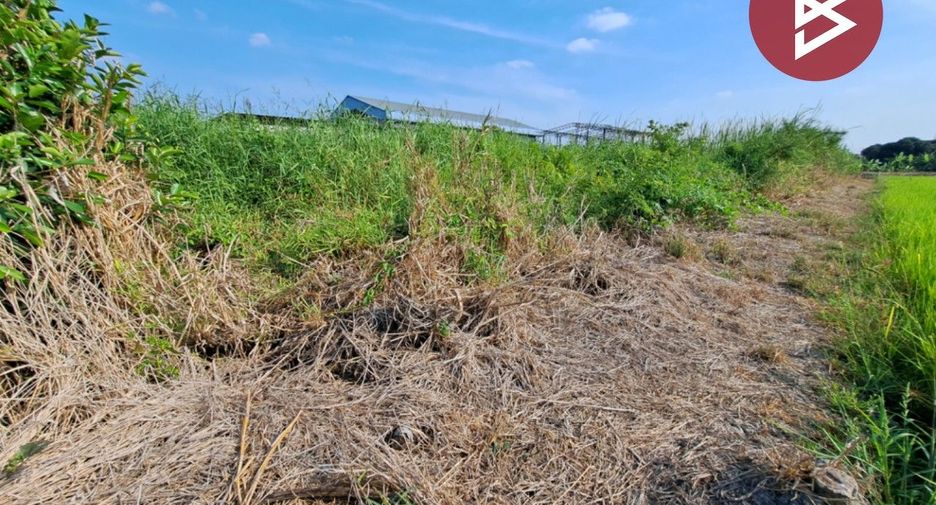 Terreno en venta en Sai Noi, Nonthaburi