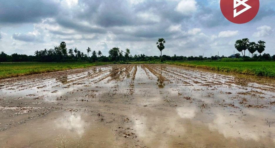 For sale land in Sapphaya, Chainat