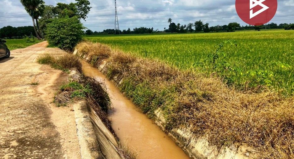For sale land in Sapphaya, Chainat