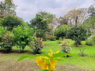 For sale land in Kaeng Khoi, Saraburi
