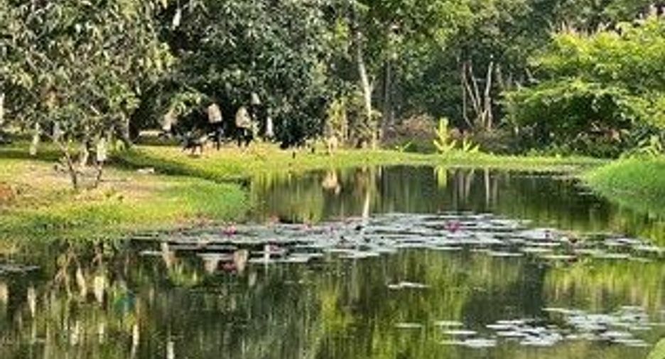 ขาย ที่ดิน ใน แก่งคอย, สระบุรี