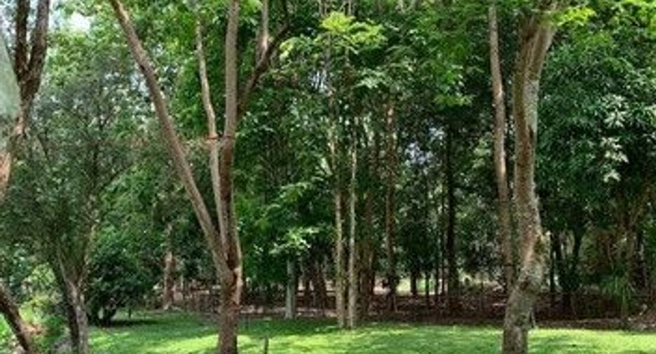ขาย ที่ดิน ใน แก่งคอย, สระบุรี