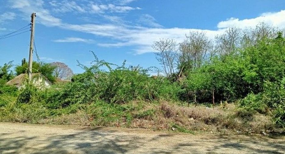 For sale land in Kaeng Krachan, Phetchaburi