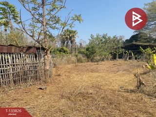 出售 土地 在 San Kamphaeng, Chiang Mai