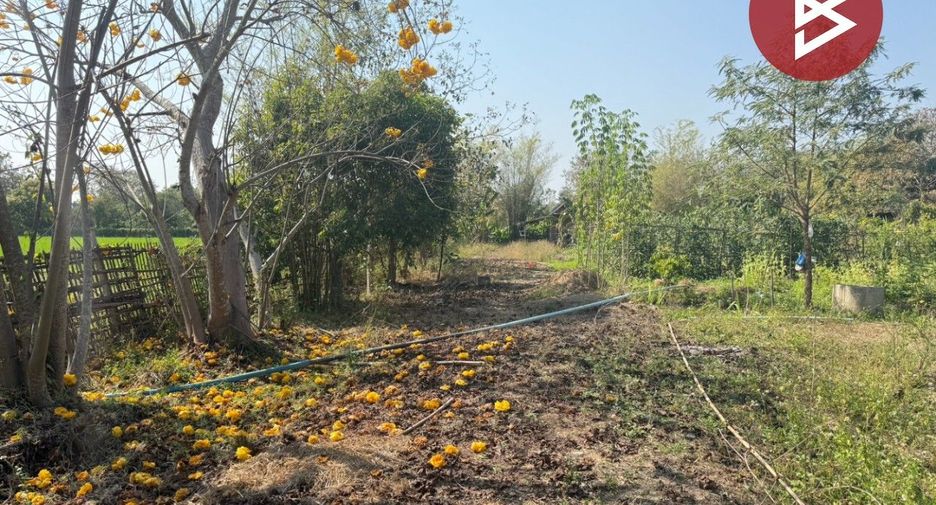 Grundstück zum Kauf in San Kamphaeng, Chiang Mai